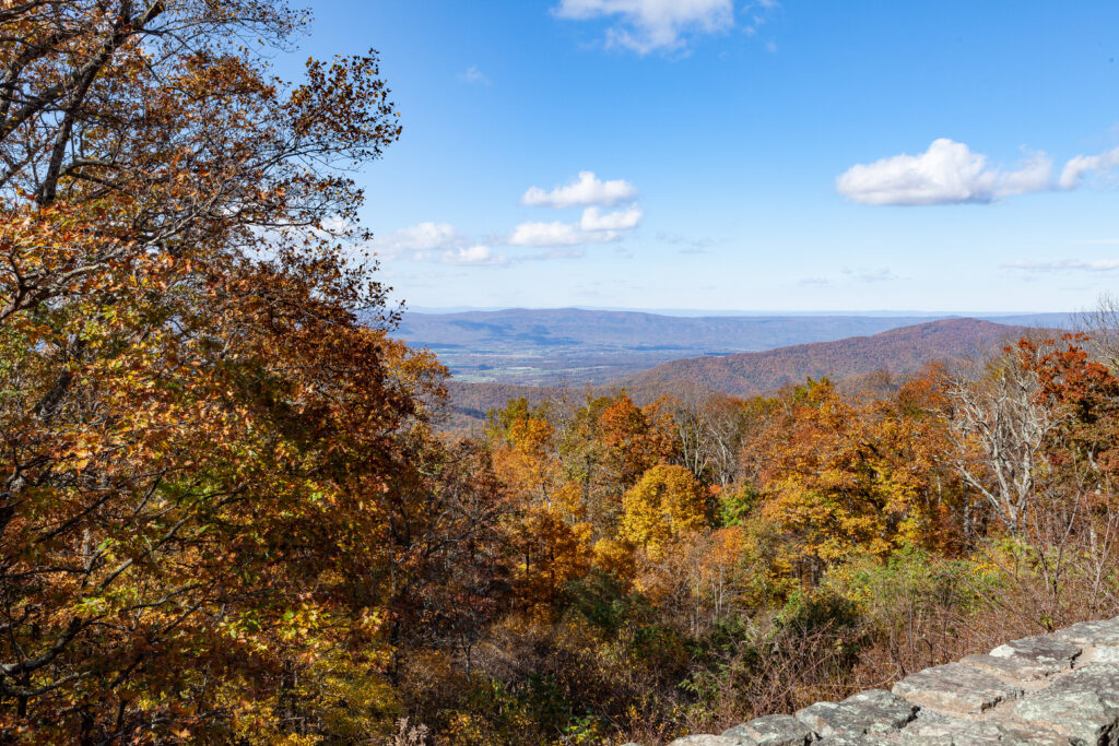 Skyline Drive Fall 2021