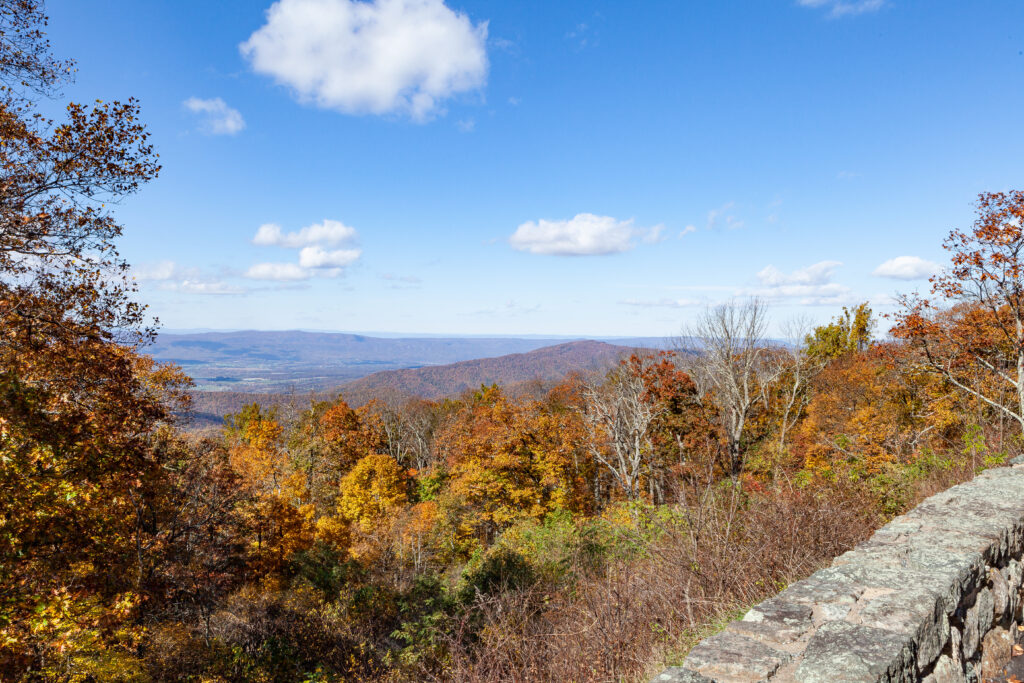 Skyline Drive Fall 2021