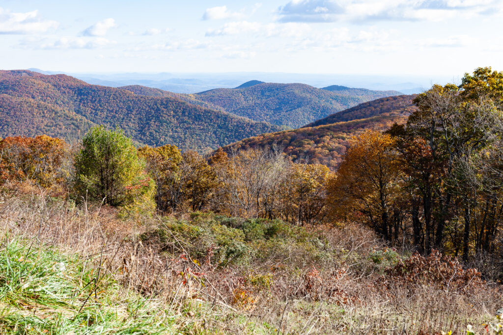 Skyline Drive Fall 2021