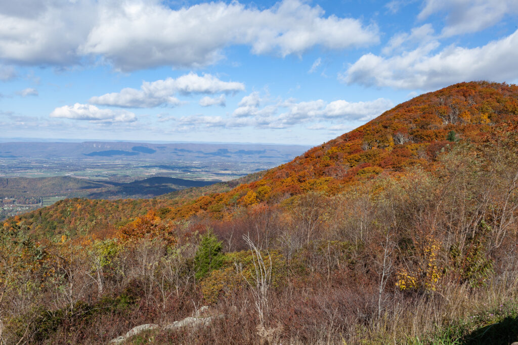 Skyline Drive Fall 2021