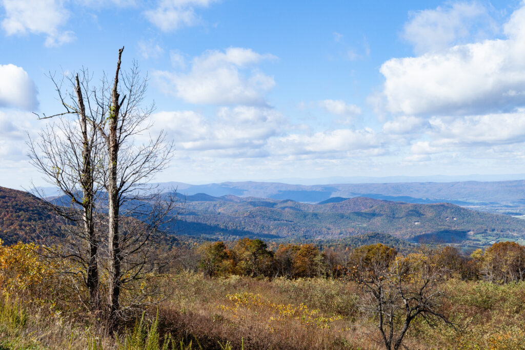 Skyline Drive Fall 2021