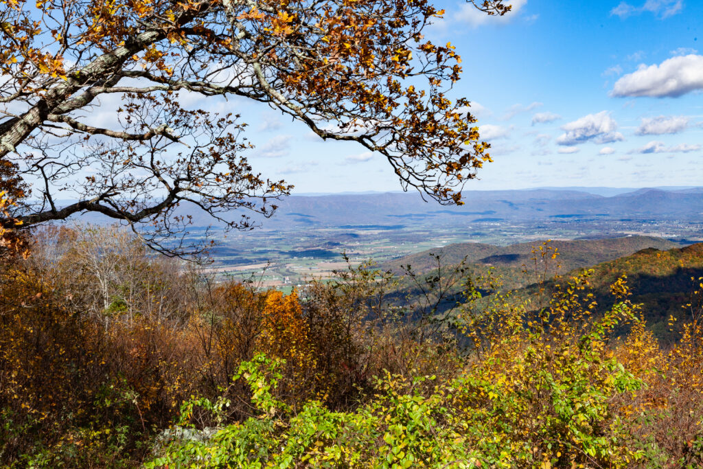 Skyline Drive Fall 2021