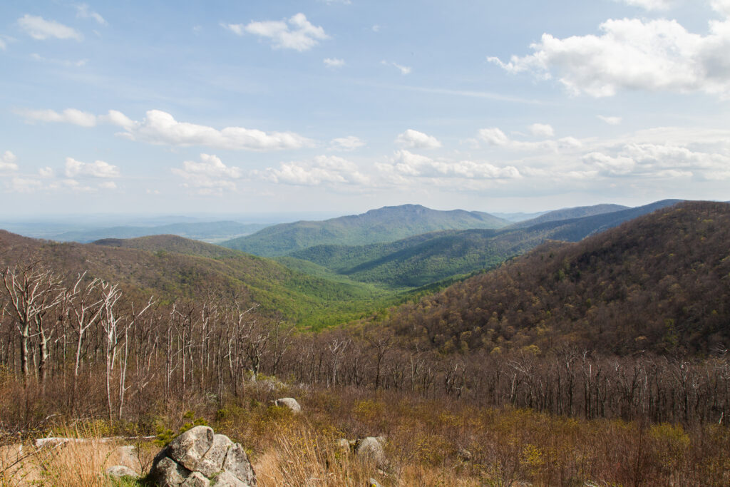 Skyline Drive Spring 2012