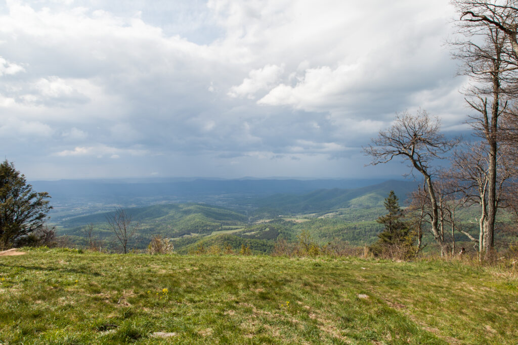 Skyline Drive Spring 2012