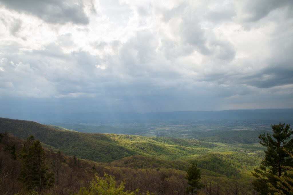 Skyline Drive Spring 2012