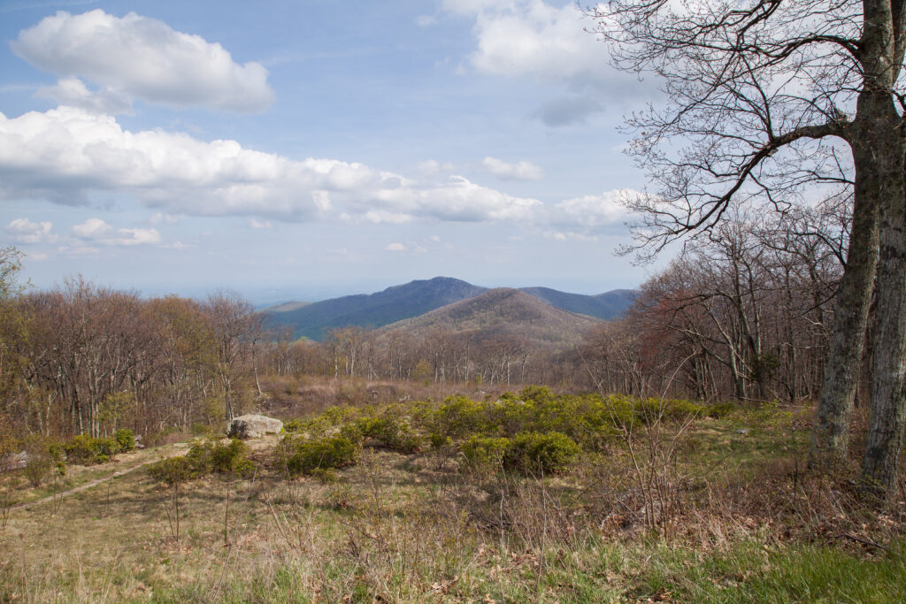 Skyline Drive Spring 2012